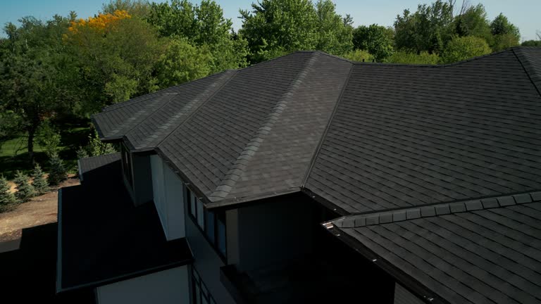 Best Skylight Installation and Repair  in Duquesne, MO